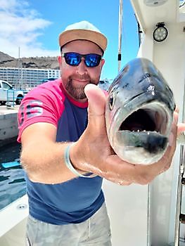 Bodem vissen. White Marlin Gran Canaria