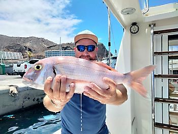 Bodem vissen. White Marlin Gran Canaria