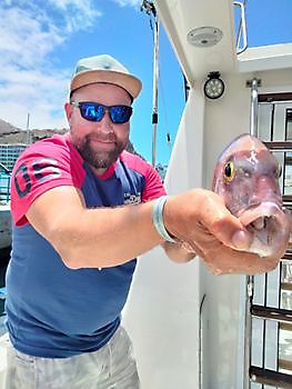 Bottom fishing. White Marlin Gran Canaria