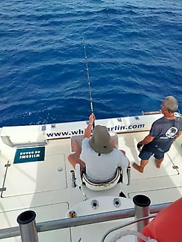 Marlijn vissen White Marlin Gran Canaria