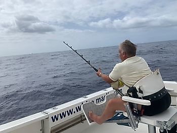 señor majestuoso White Marlin Gran Canaria