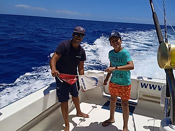 Blauwe marlijn White Marlin Gran Canaria
