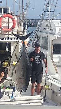 atún patudo White Marlin Gran Canaria