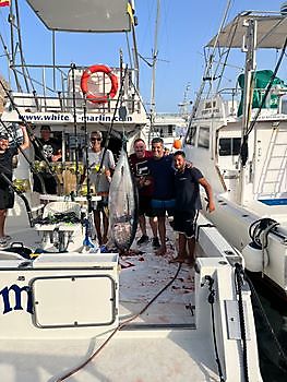 Grootoogtonijn White Marlin Gran Canaria