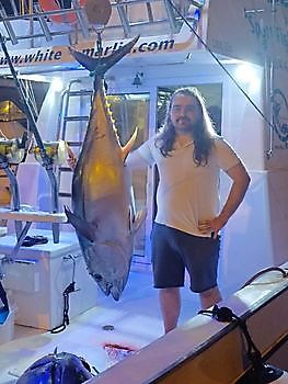 Bigeye Tuna White Marlin Gran Canaria