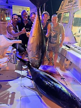 Another two White Marlin Gran Canaria