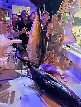 Ytterligere to White Marlin Gran Canaria