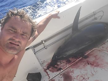 Nog een. White Marlin Gran Canaria