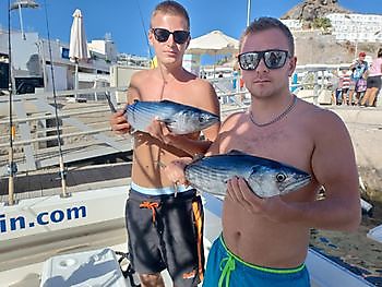 Iešguđetlágan govat White Marlin Gran Canaria