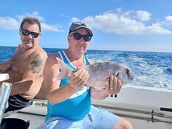 Iešguđetlágan govat White Marlin Gran Canaria