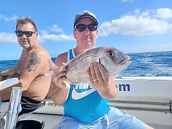 Iešguđetlágan govat White Marlin Gran Canaria