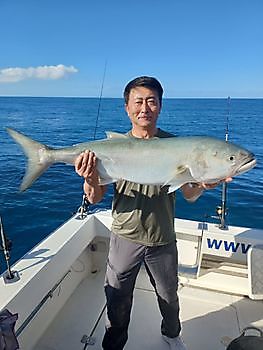 Score van vanochtend. White Marlin Gran Canaria