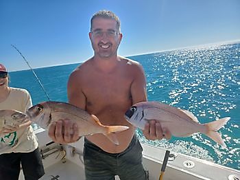 Buen día. White Marlin Gran Canaria