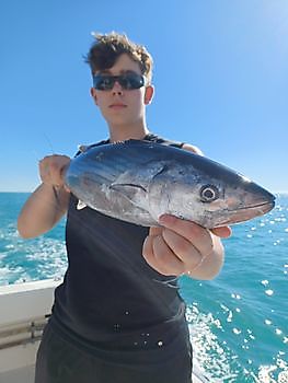 Photos of the day. White Marlin Gran Canaria