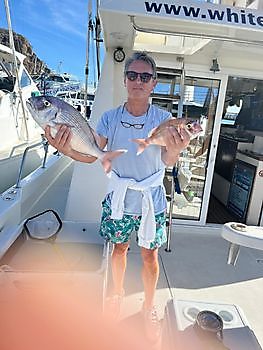 Marzo White Marlin Gran Canaria