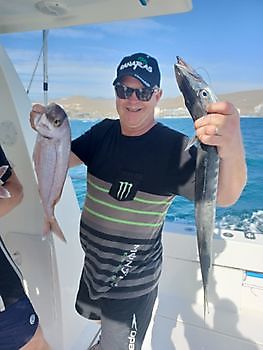 Ein weiterer Red Snapper-Tag White Marlin Gran Canaria
