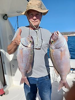 Marzo White Marlin Gran Canaria