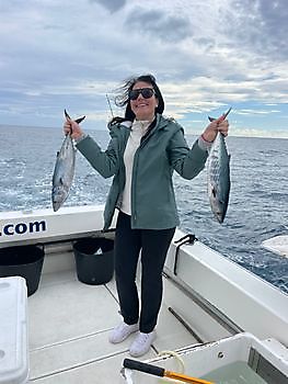 Shallow water fishing. White Marlin Gran Canaria