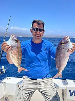 Vissen nieuws White Marlin Gran Canaria