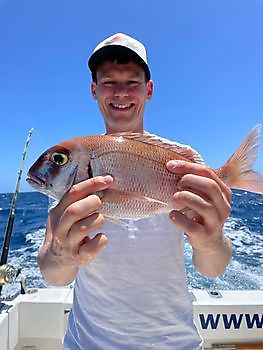 Vissen nieuws White Marlin Gran Canaria