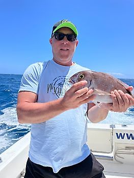 Fishing News White Marlin Gran Canaria