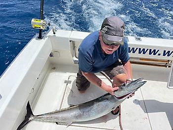 Ofendiendo White Marlin Gran Canaria