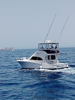 Marzo White Marlin Gran Canaria
