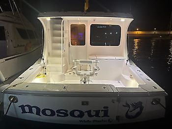 Marzo White Marlin Gran Canaria