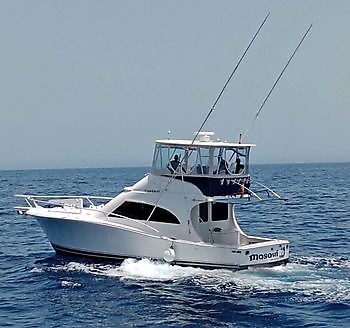 Marzo White Marlin Gran Canaria