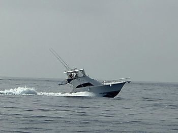 Marzo White Marlin Gran Canaria