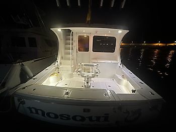 Marzo White Marlin Gran Canaria