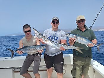 Junio White Marlin Gran Canaria