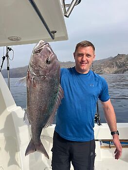 Mii álgit ođđasit !! White Marlin Gran Canaria