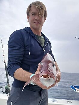 Mii álgit ođđasit !! White Marlin Gran Canaria