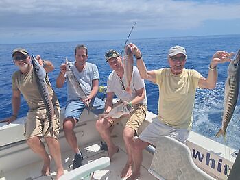 Junio White Marlin Gran Canaria