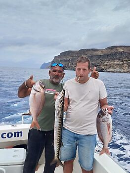 Junio White Marlin Gran Canaria