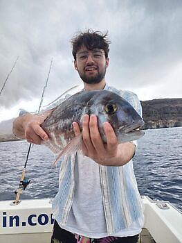 Junio White Marlin Gran Canaria