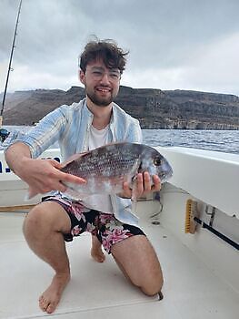 Julio White Marlin Gran Canaria