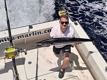 Julio White Marlin Gran Canaria