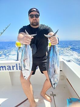Julio White Marlin Gran Canaria