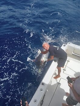 Julio White Marlin Gran Canaria