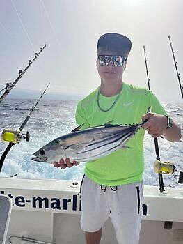 Agosto White Marlin Gran Canaria