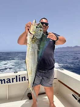Agosto White Marlin Gran Canaria