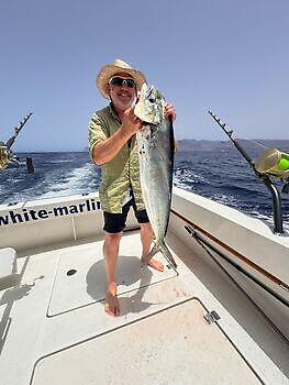 Agosto White Marlin Gran Canaria
