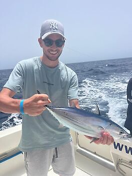 Agosto White Marlin Gran Canaria