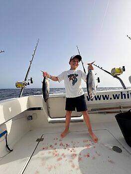 Agosto White Marlin Gran Canaria