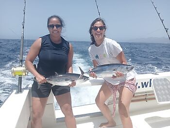 Septiembre White Marlin Gran Canaria