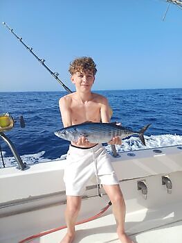 Agosto White Marlin Gran Canaria