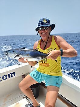 Agosto White Marlin Gran Canaria
