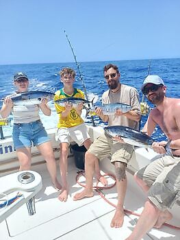 Septiembre White Marlin Gran Canaria